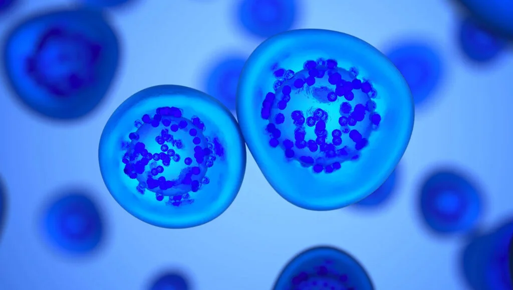 Revolutionising cell and gene therapy